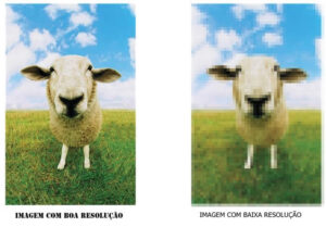 Estudos da Expedia conclui que fotos de alta qualidade impulsionam as vendas da OTA