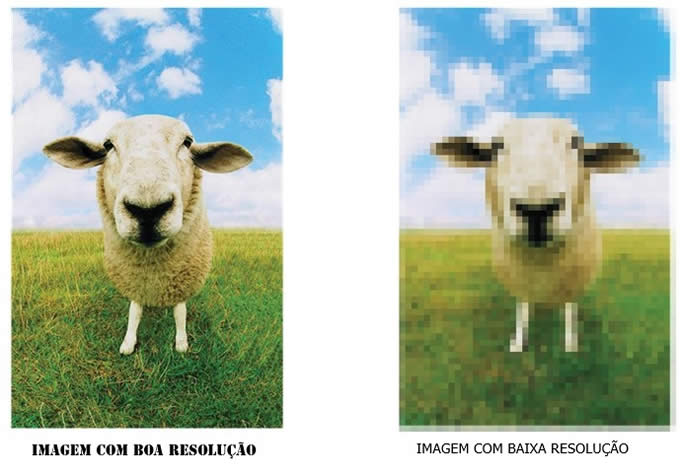 Estudos da Expedia conclui que fotos de alta qualidade impulsionam as vendas da OTA